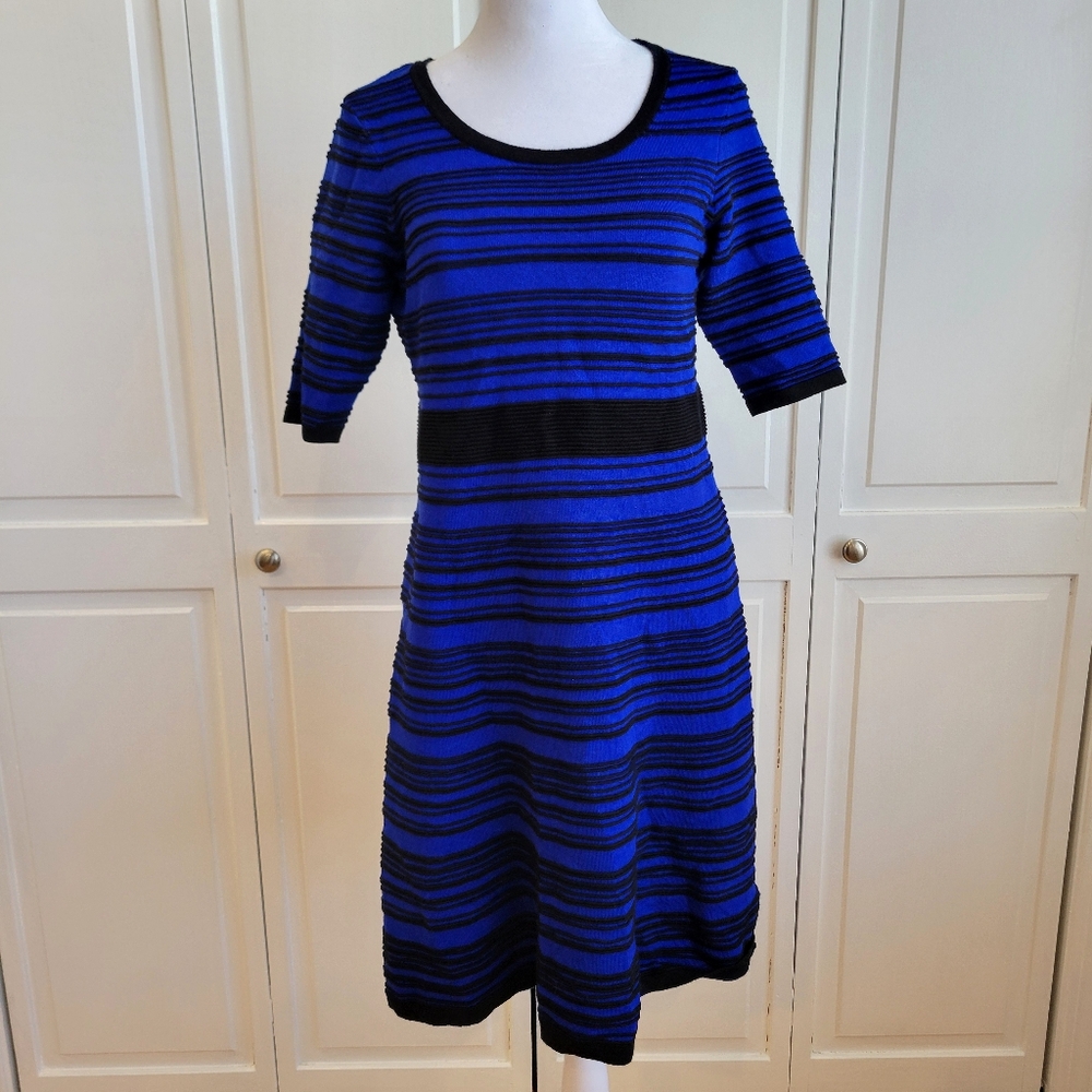 Taylor Blue and Black Striped Midi Dress